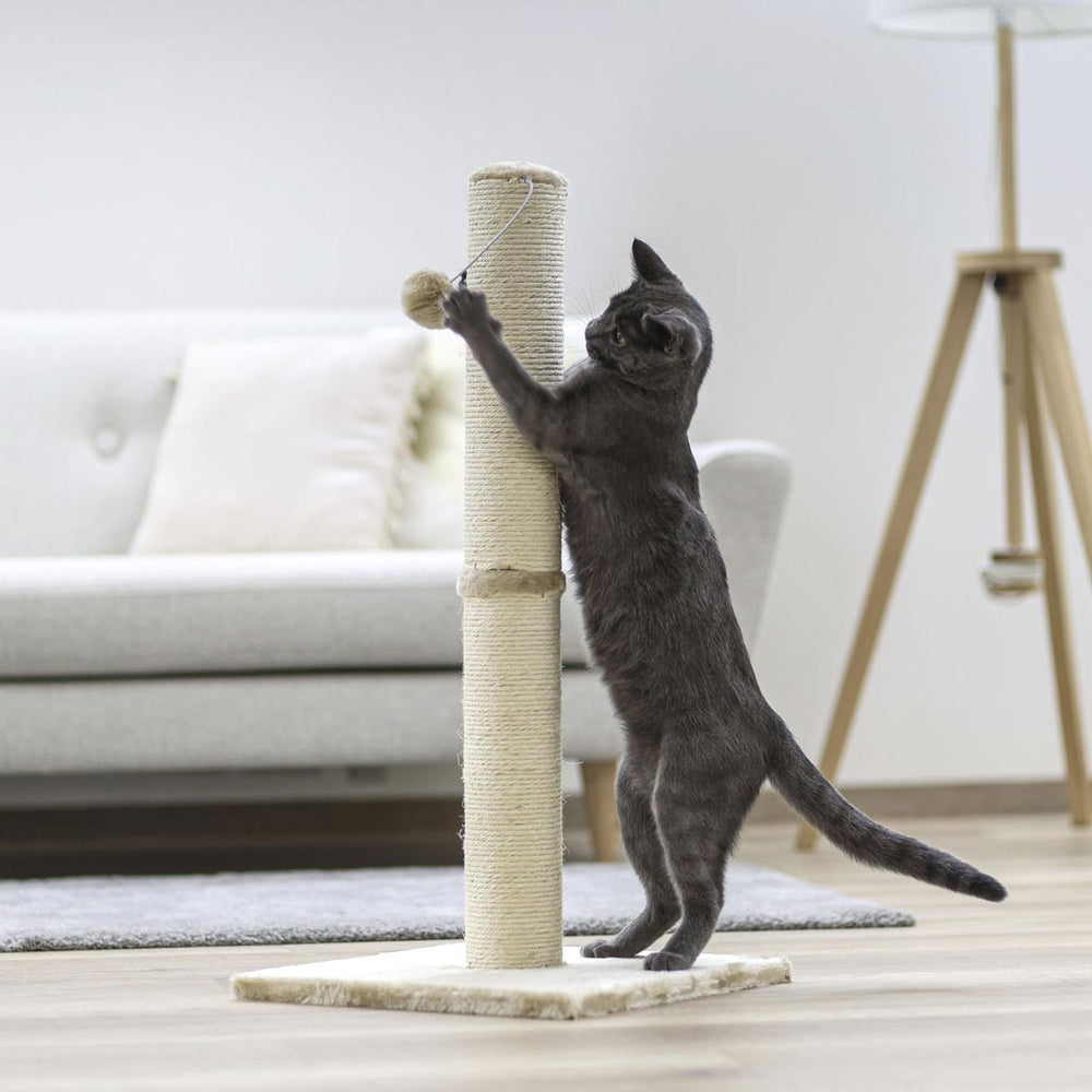 CAT - SCRATCH & TREES