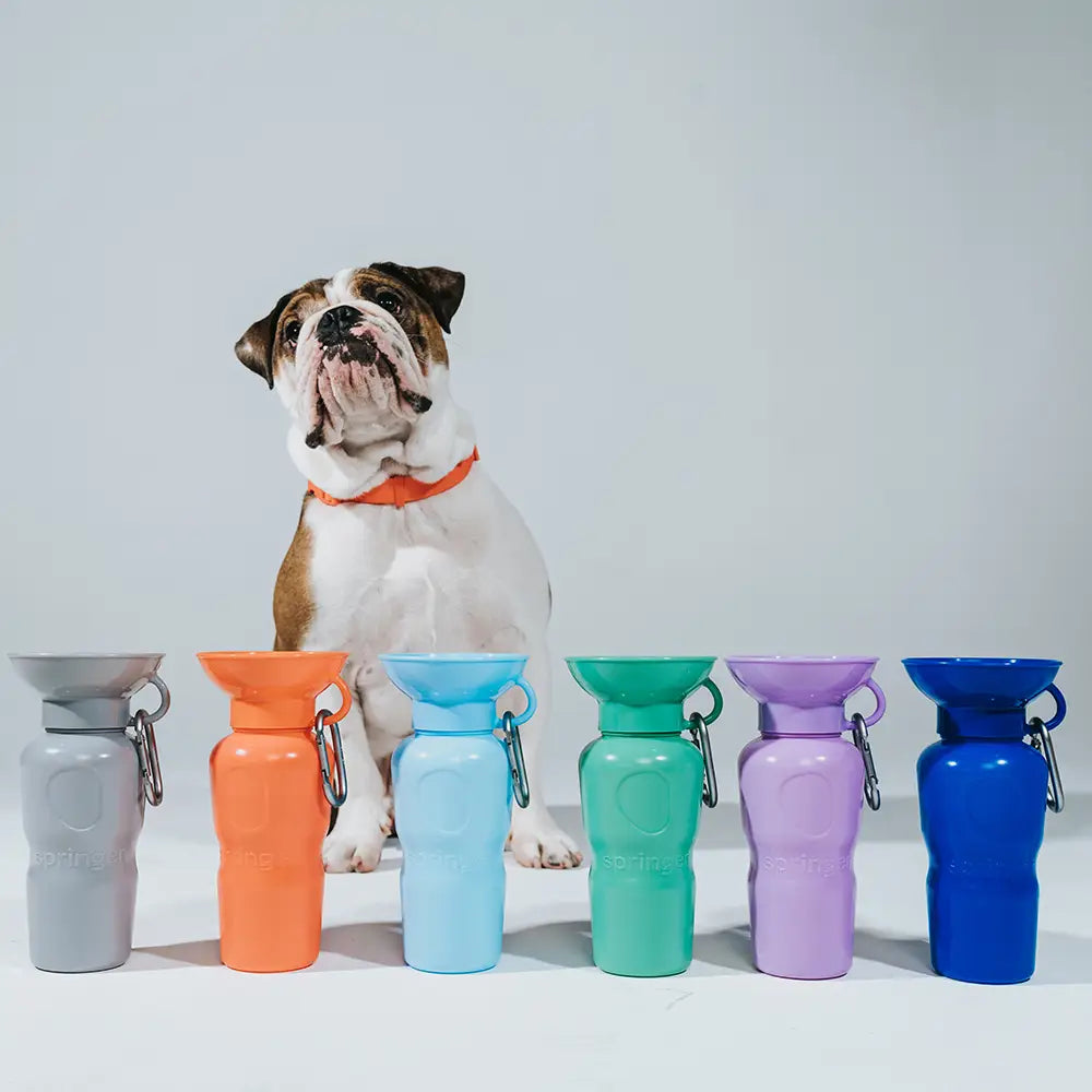 Travel Water Bottle - Lilac