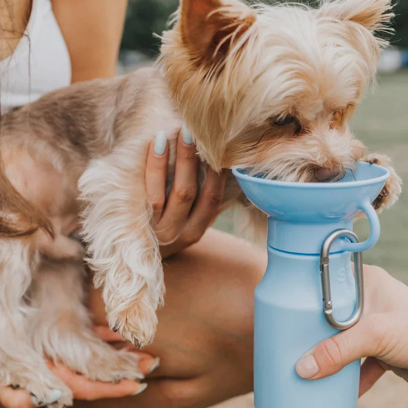 Travel Water Bottle - Sky Blue