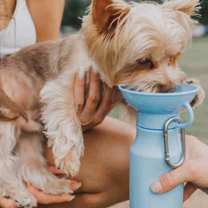 Travel Water Bottle - Sky Blue