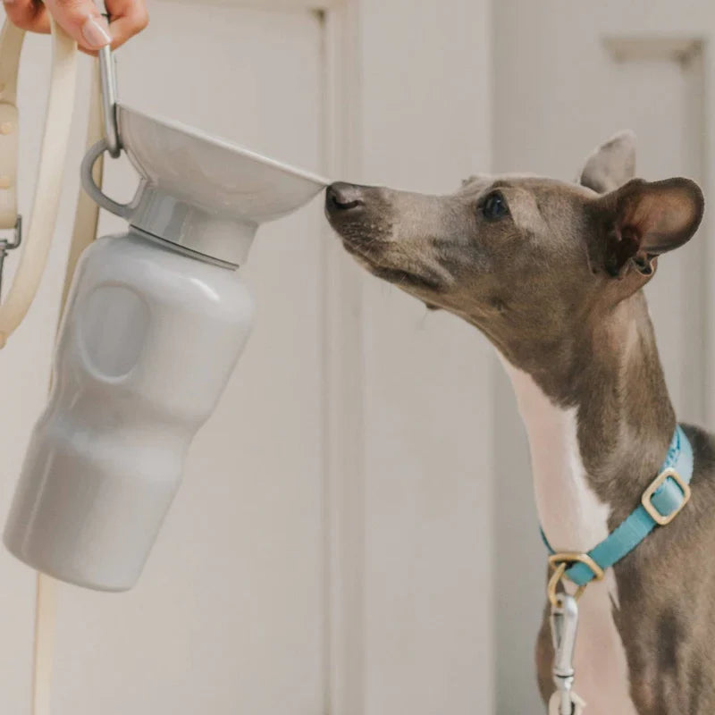 Travel Water Bottle - Grey