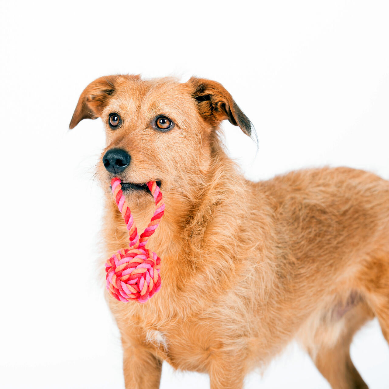 Schleuderball - Pink/Red/Orange