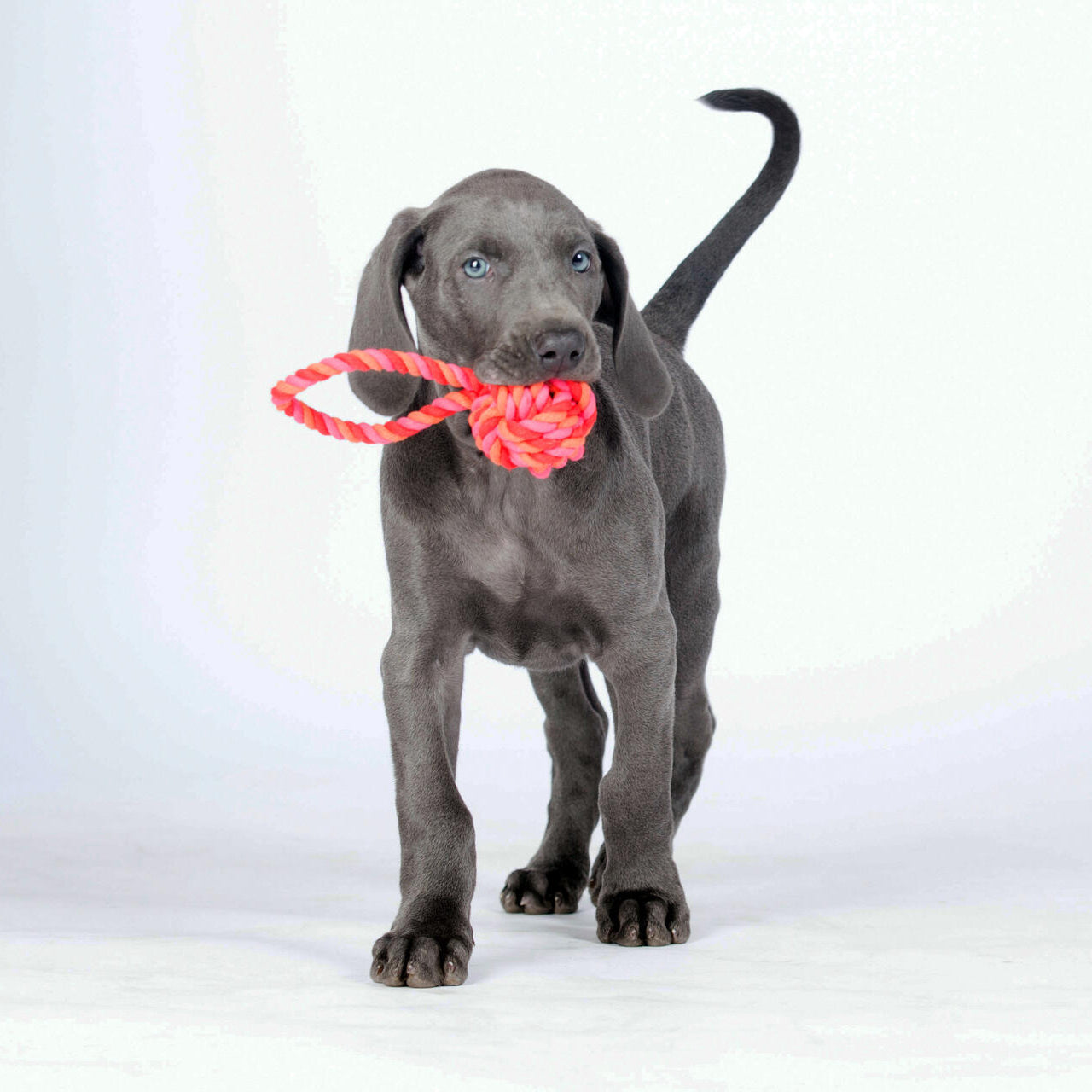 Schleuderball - Pink/Red/Orange