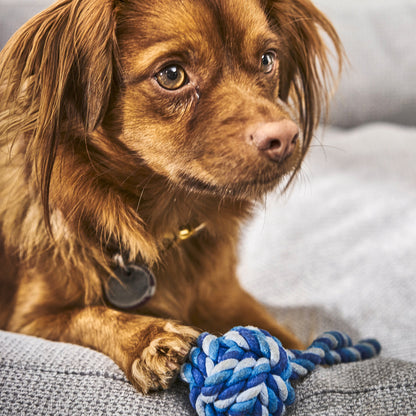 Schleuderball - Blue