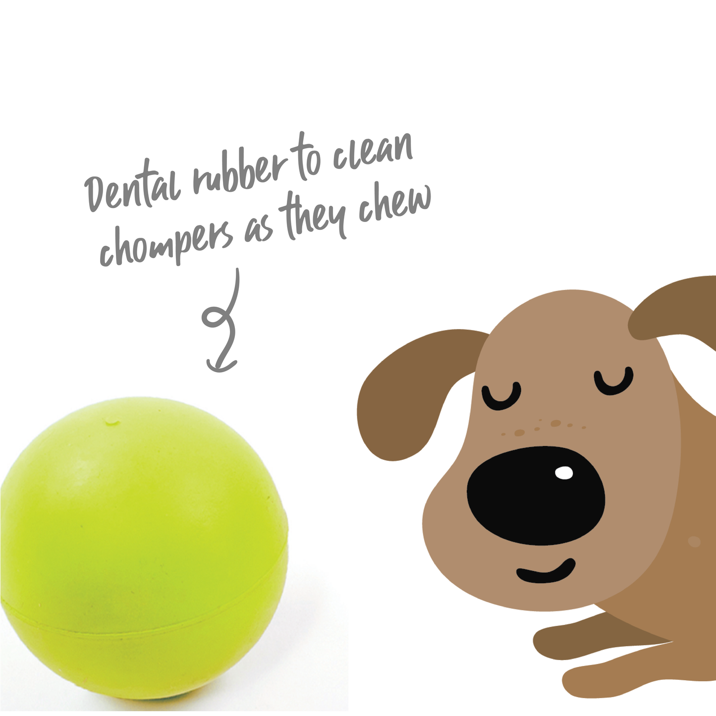 Super Strong Rubber Ball Dog Toy