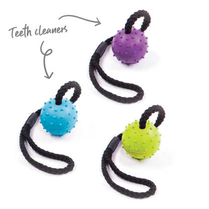 Healthy Gums Sling Ball Dog Toy