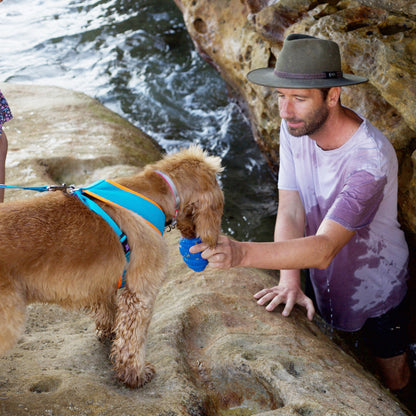 Dental Conch Dog Chew Toy