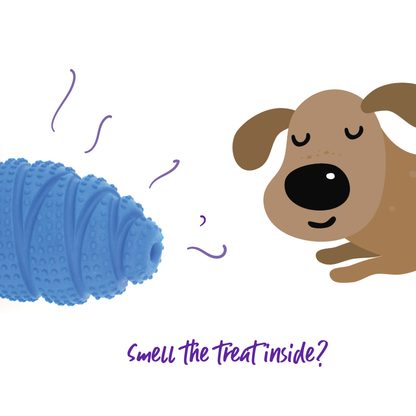 Dental Conch Dog Chew Toy