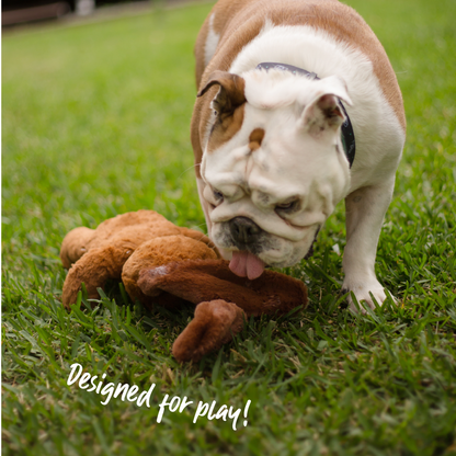 Furries - Long Ear Dog