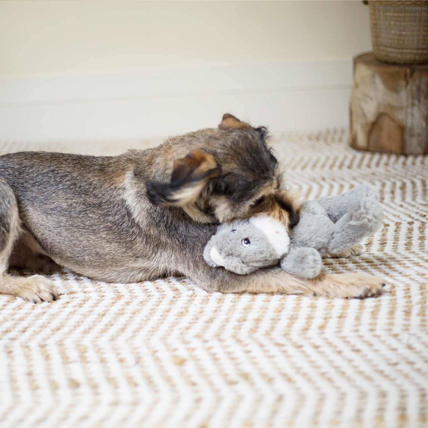 Furries - Long Ear Donkey