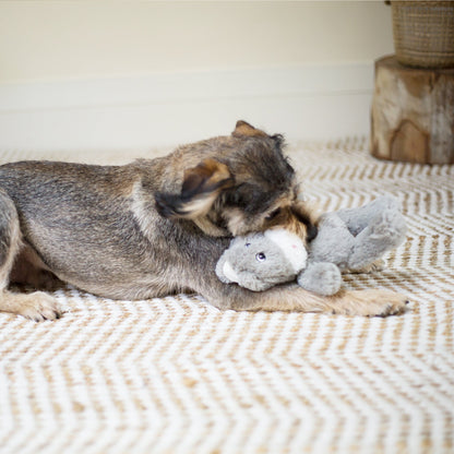 Furries - Long Ear Donkey