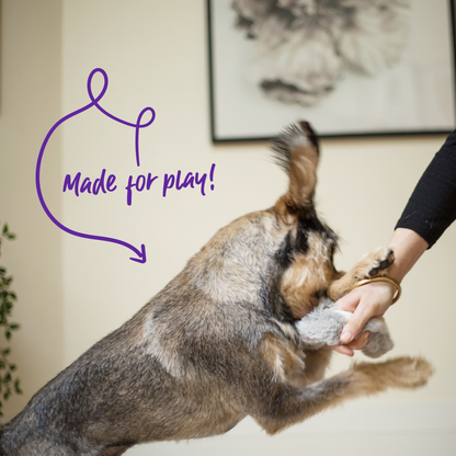 Furries - Long Ear Donkey