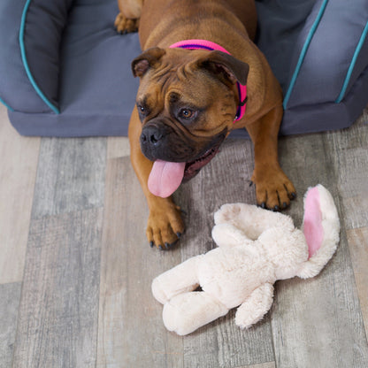 Furries - Long Ear Bunny