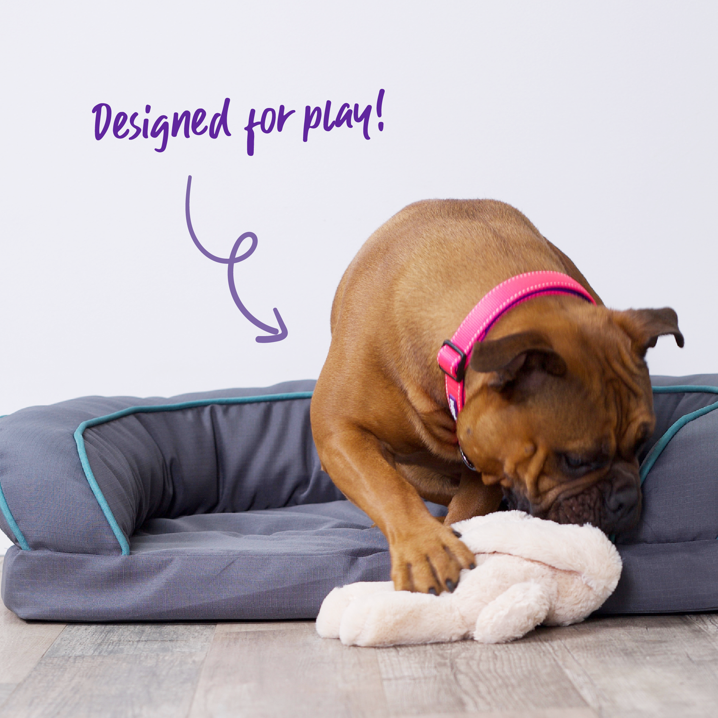 Furries - Long Ear Bunny