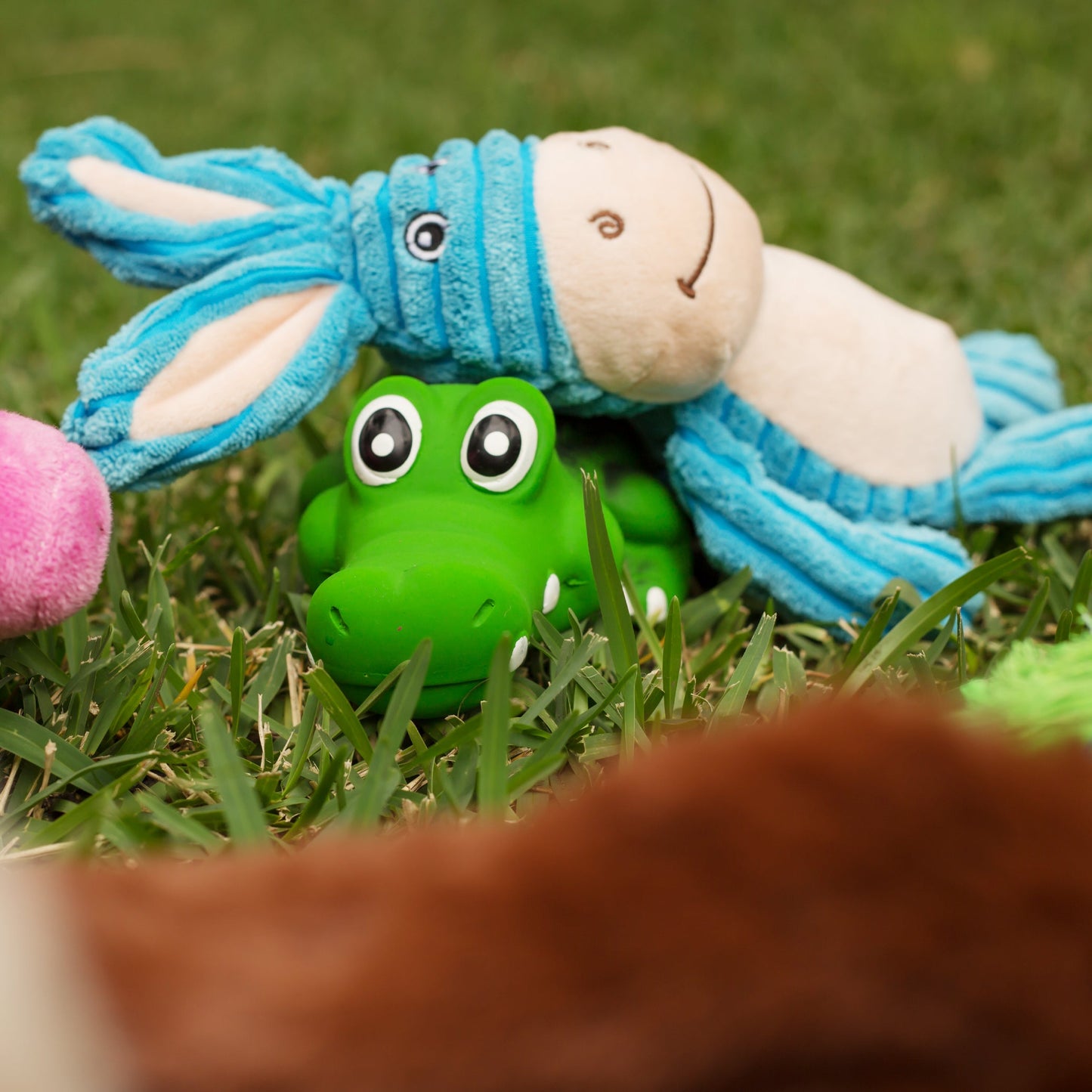 Furries - Funky Donkey