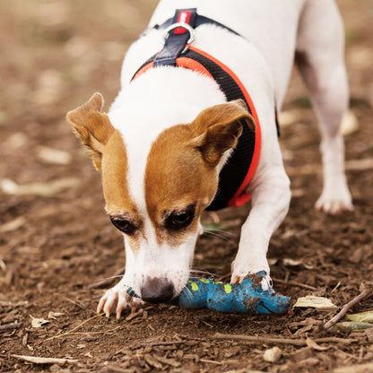 Sneaky Snake Squeaky Dog Toy