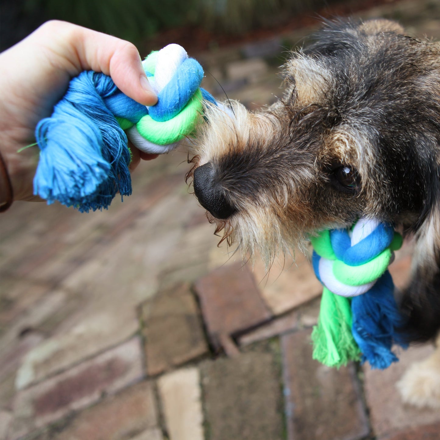Twisted Rope Knot Bone Dog Toy