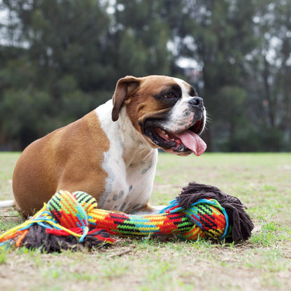 Braided Rope Knot Bone Dog Toy