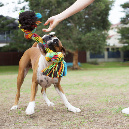 Braided Rope Knot Bone Dog Toy