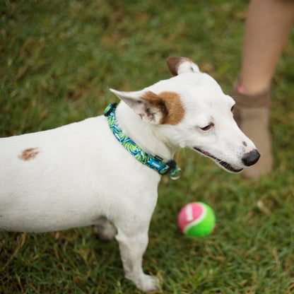 Puncture Proof Tennis Ball Dog Toy