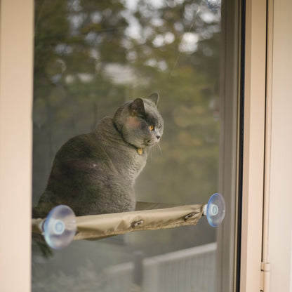 The Lookout Cat Window Bed