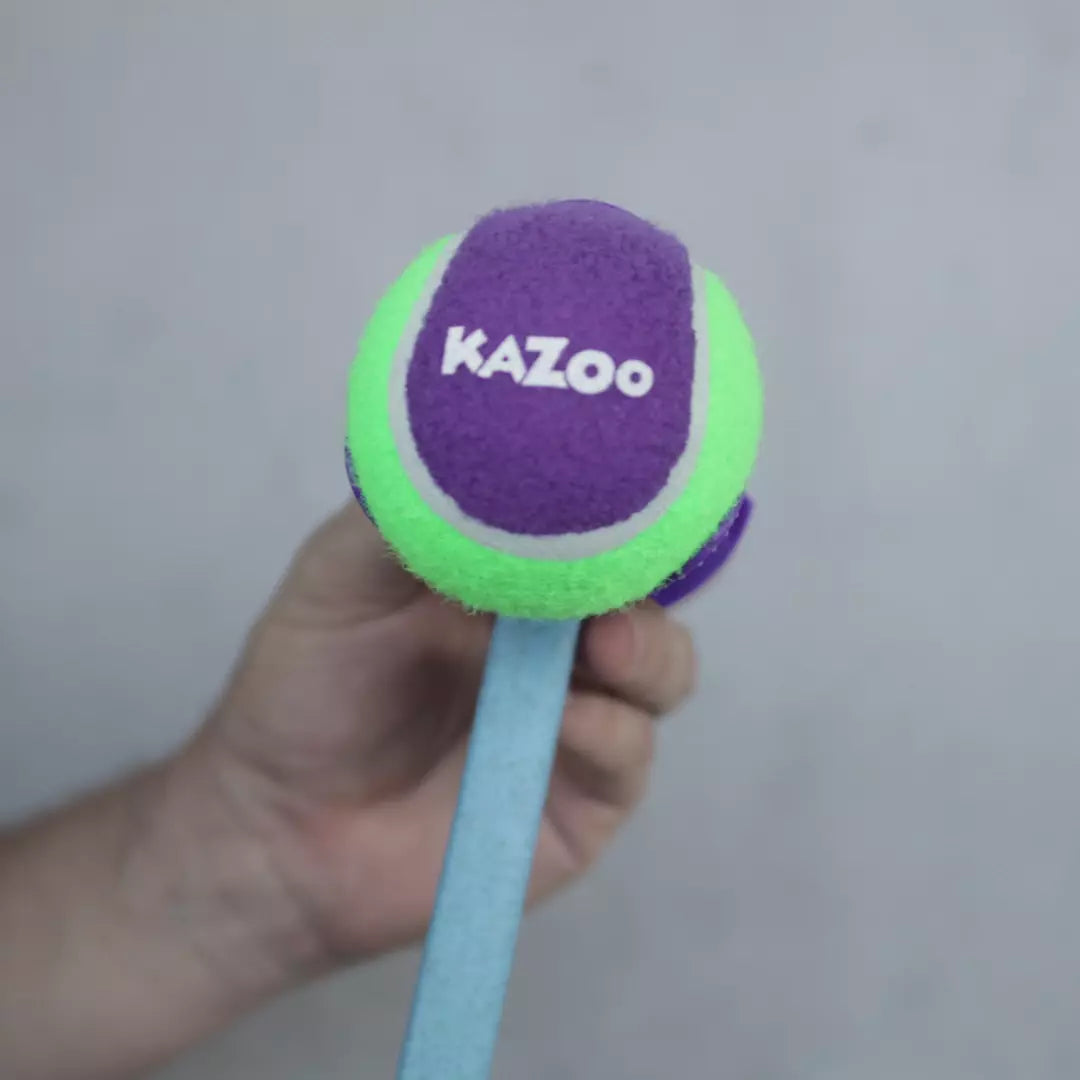 Adjustable Eco-Friendly Ball Thrower