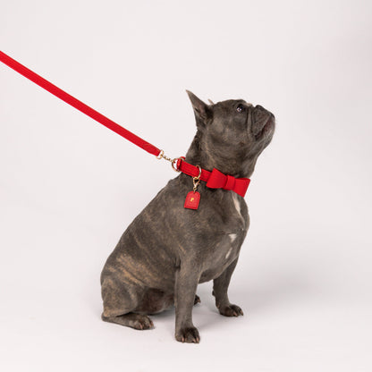 Ferrari Red - Vegan Leather Collar