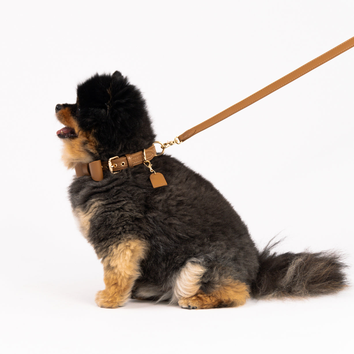 Caramel Latte - Vegan Leather Collar