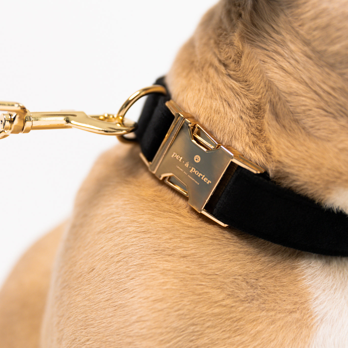 Blackjack - velvet Set