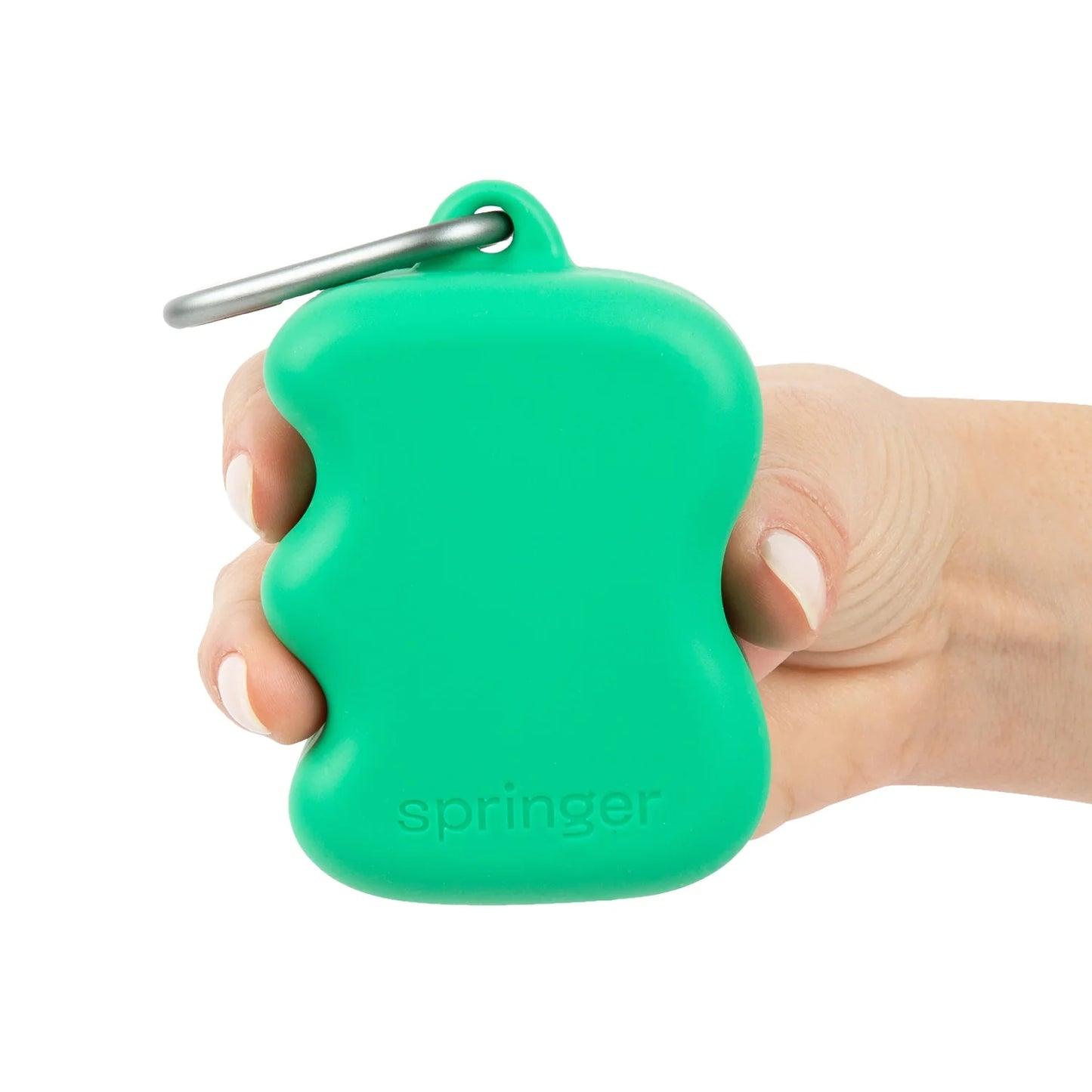 Silicone Dog Treat Dispenser - Springer Green