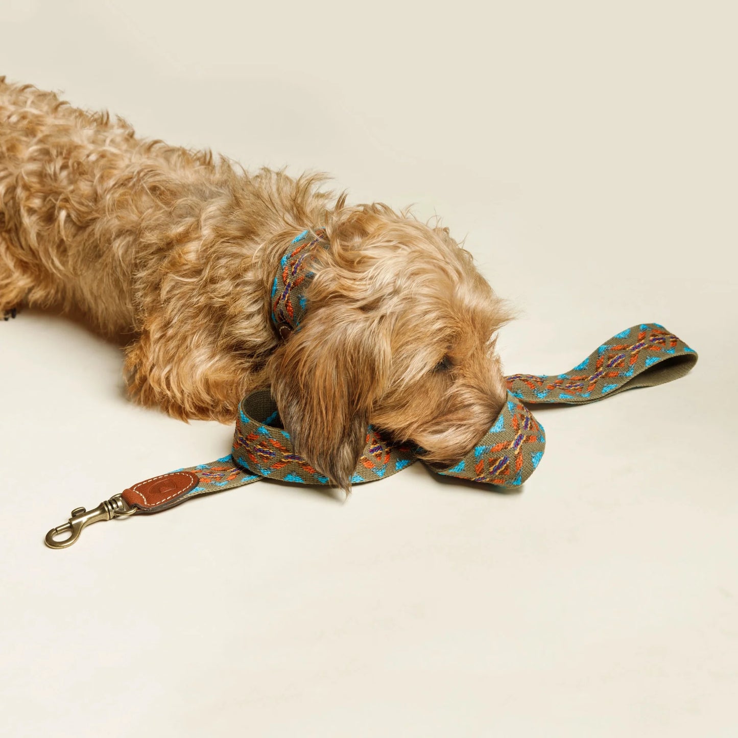 Etna Green Leash