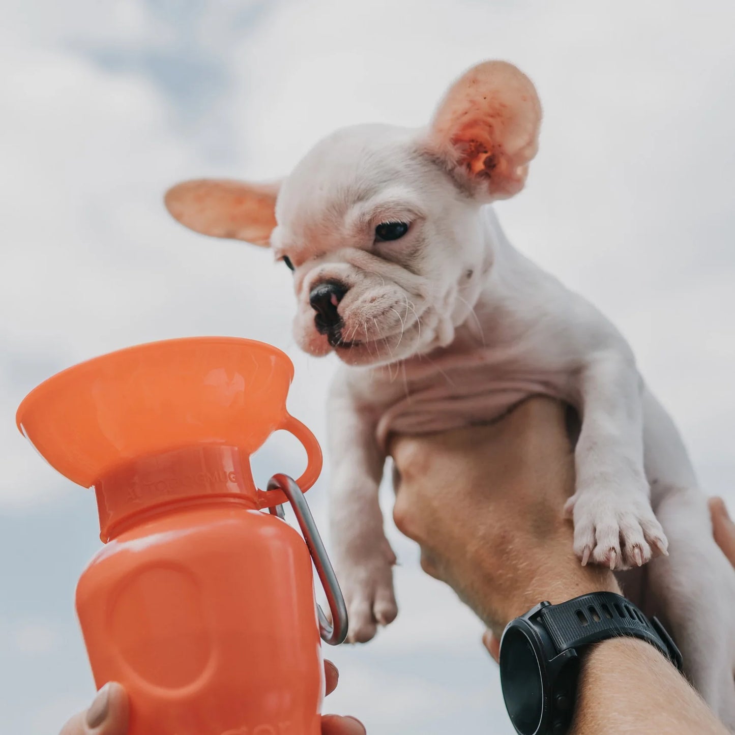 Travel Water Bottle - Poppy