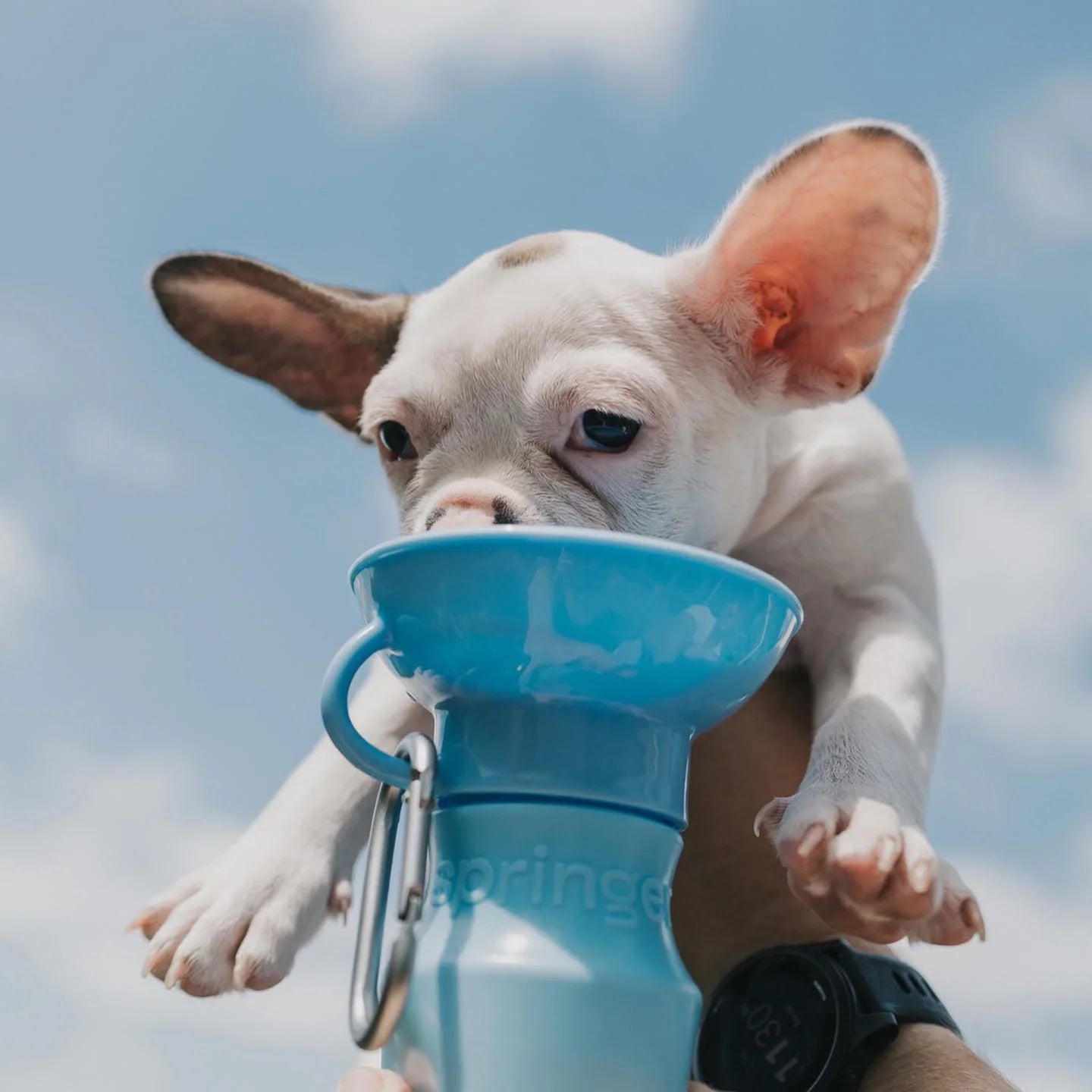 Travel Water Bottle - Sky Blue