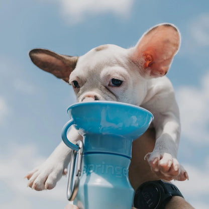 Travel Water Bottle - Sky Blue