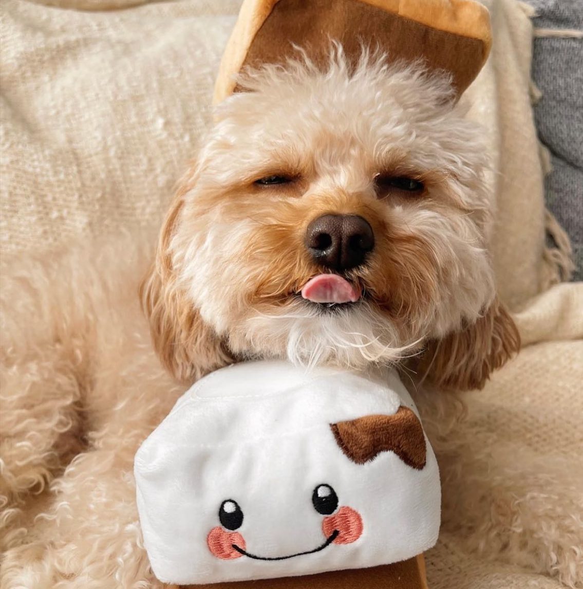 Camping Pups - S'More