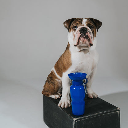 Travel Water Bottle - Indigo