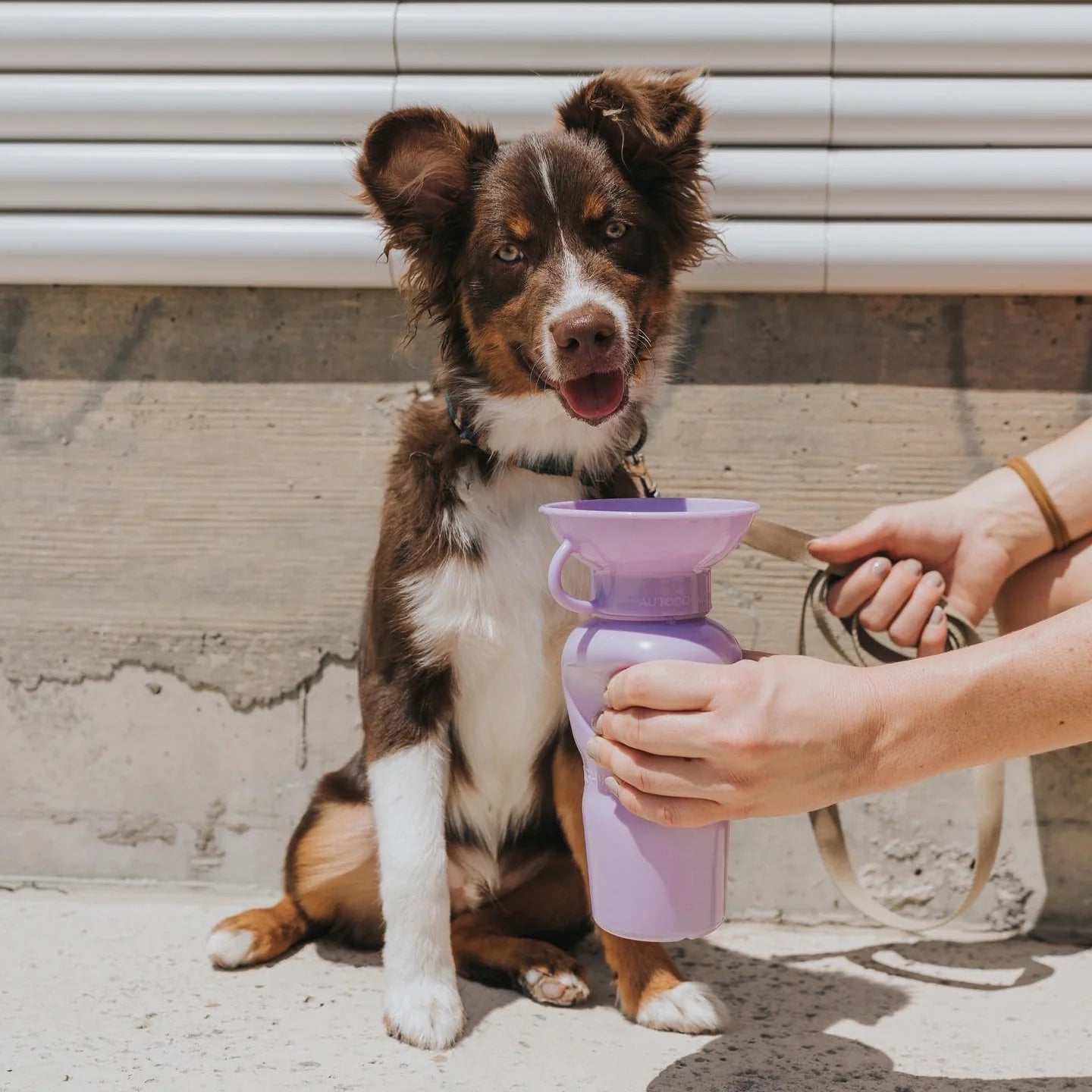 Travel Water Bottle - Lilac