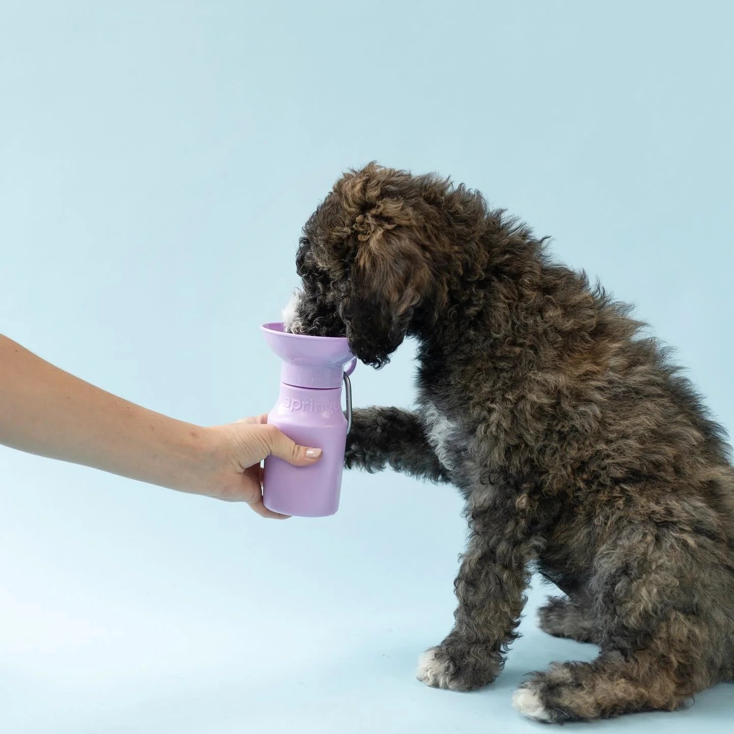 Travel Water Bottle - Lilac