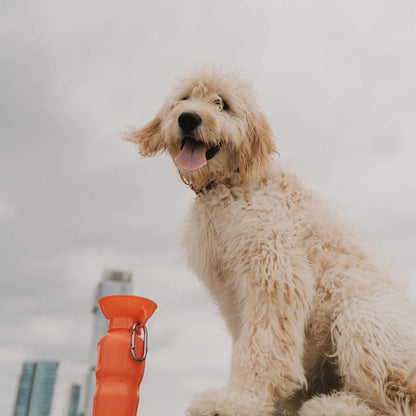 Travel Water Bottle - Poppy