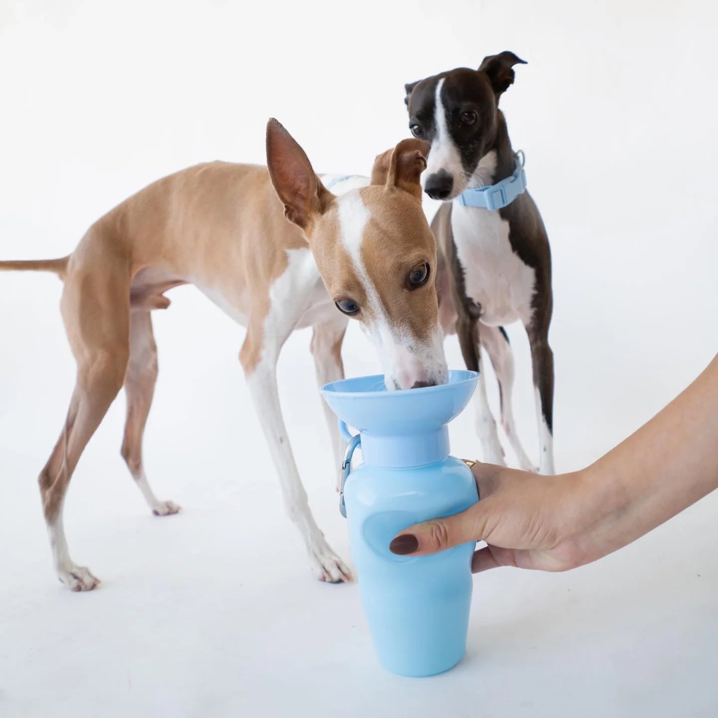 Travel Water Bottle - Sky Blue