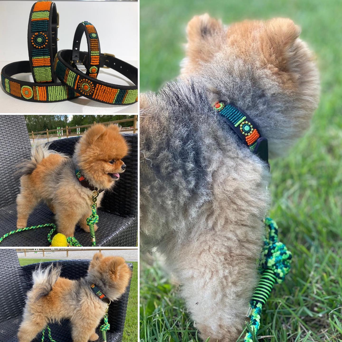 Beaded Dog Collar - Lucy