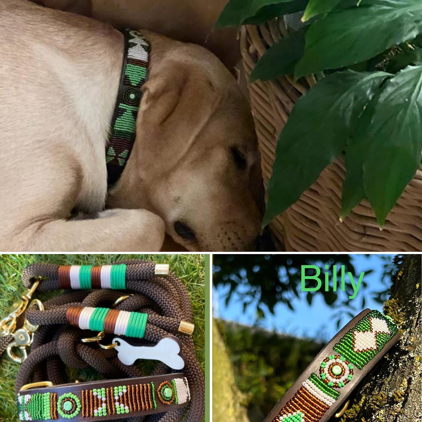Beaded Dog Collar - Billy
