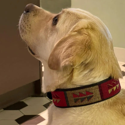 Beaded Lurcher - Luna