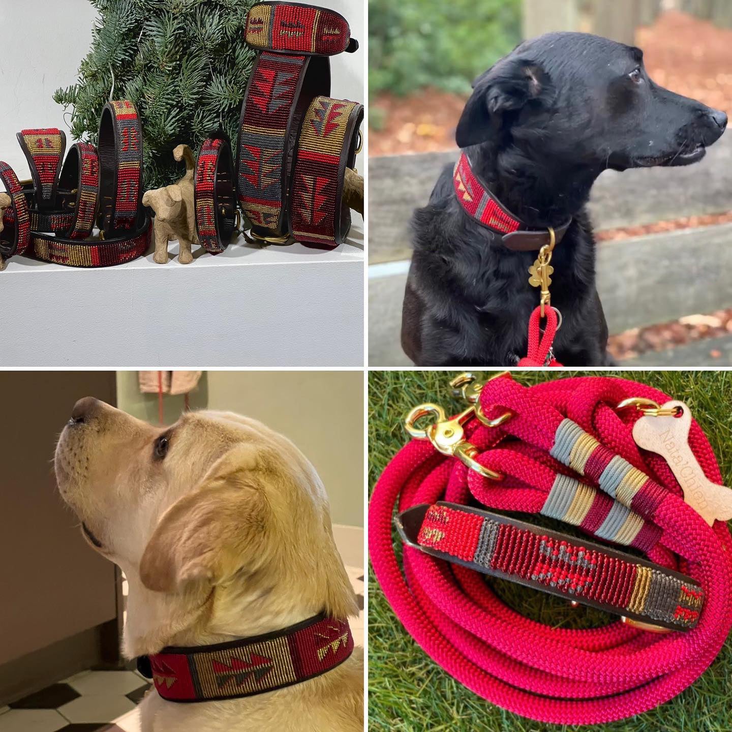 Beaded Lurcher - Luna