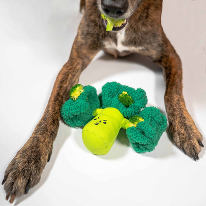 Broccoli Nosework Toy