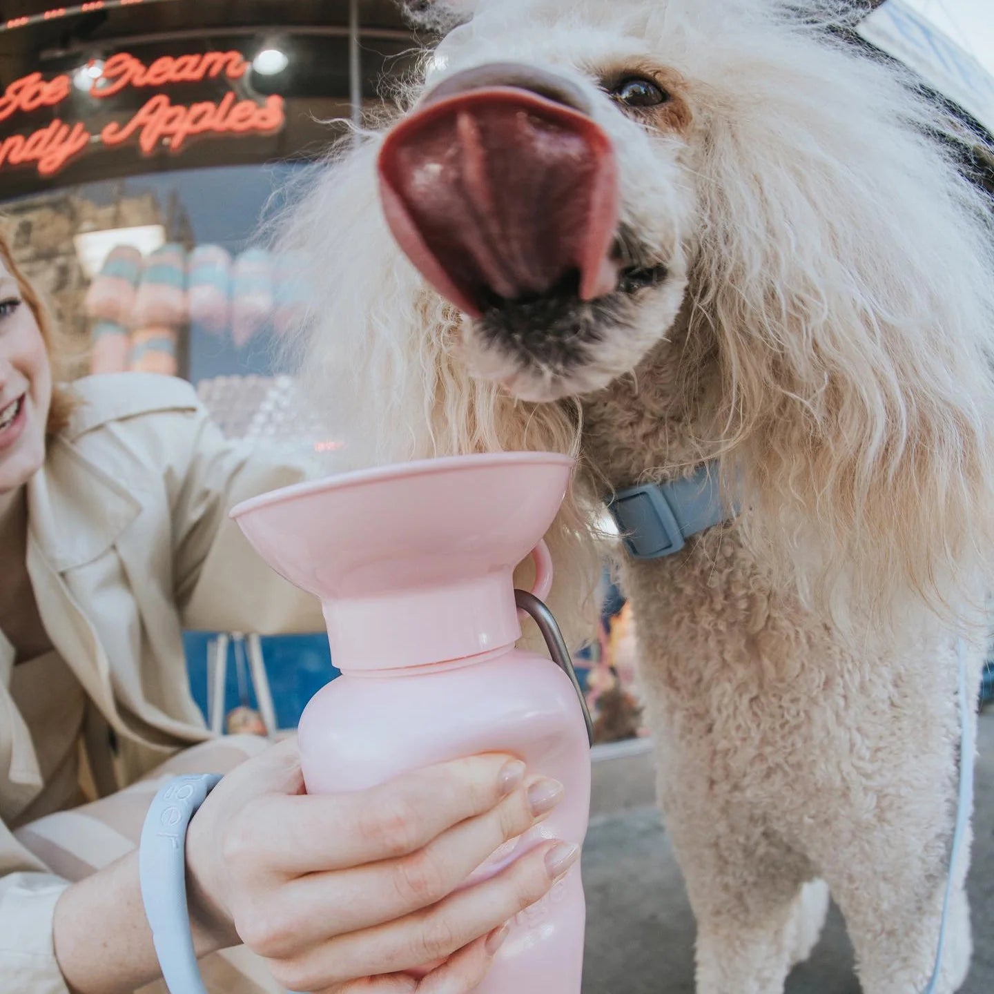 Travel Water Bottle - Cotton Candy
