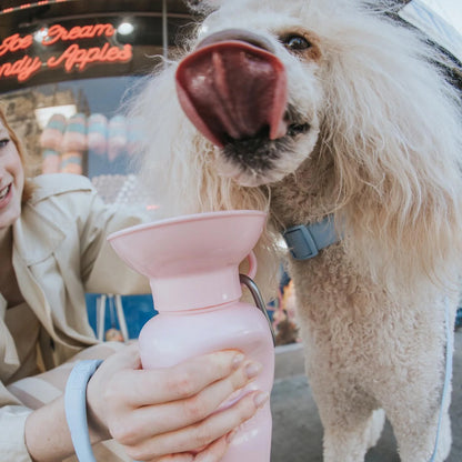Travel Water Bottle - Cotton Candy