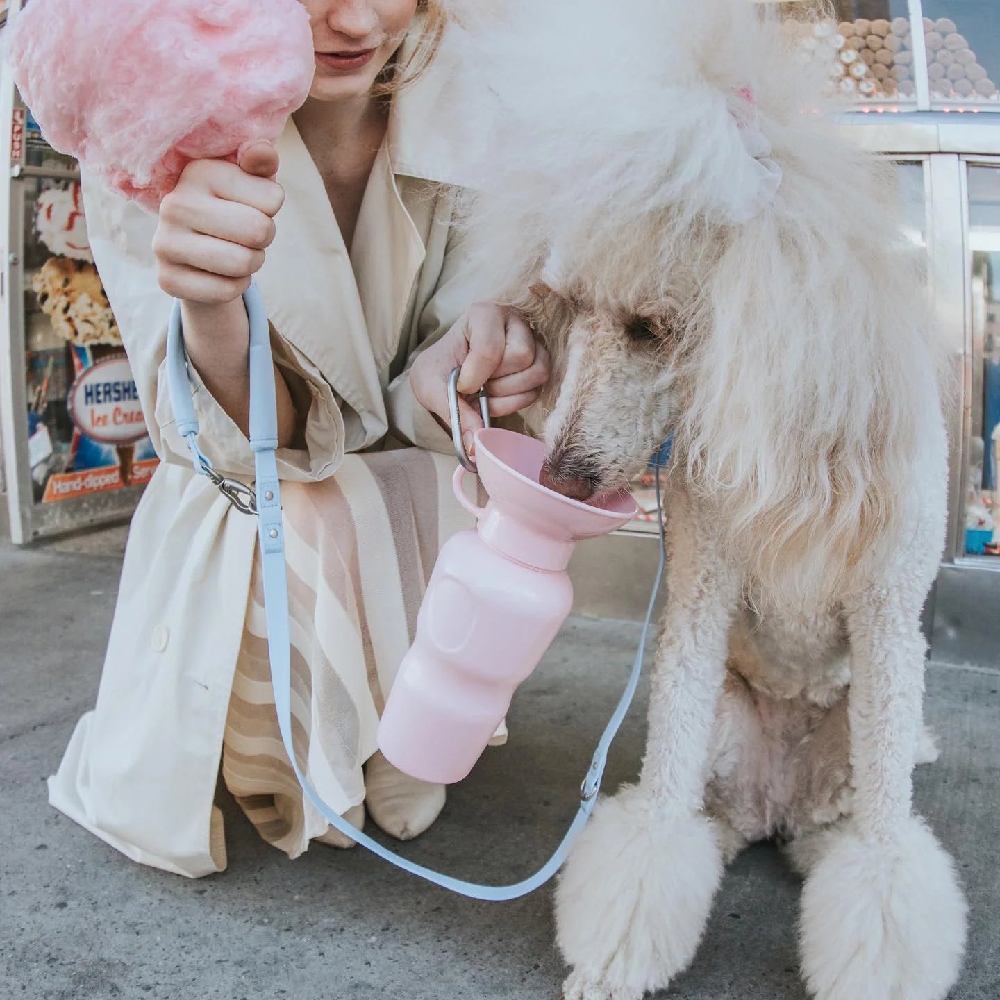 Travel Water Bottle - Cotton Candy