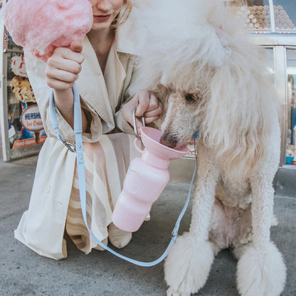 Travel Water Bottle - Cotton Candy