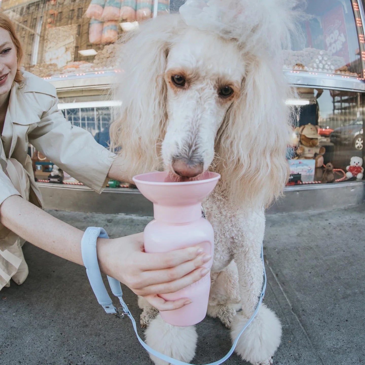 Travel Water Bottle - Cotton Candy